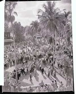 Racing Paddock Prints: People Gathering at Hialeah Park