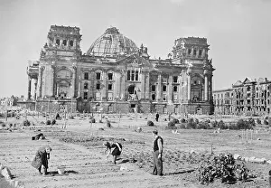 Reichstag Prints: People Planting Potatoes in Field