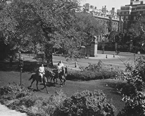 Central Park, New York, USA Gallery: People riding horses in park (B&W), elevated view