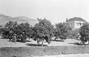 Pastoral Prints: People Standing at Future Hollywood Intersection