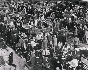 People Trading at Stock Exchange