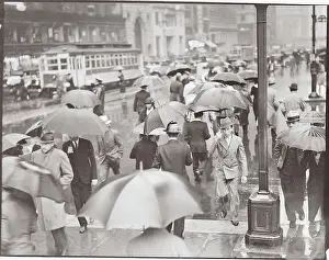 People Using Umbrellas in New York City