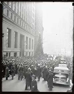 Prints of (Original Caption). A heartwarming gesture is the observance of Yuletide by employees of buildings and offices of the financial district of N.Y.C A Timeless Christmas: Vintage Treasures: People Viewing Large Christmas Tree on Wall Street