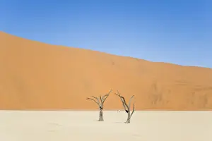 Absence Prints: Two people walking in the Deadvlei salt pan with a giant dune in the backdrop