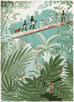 Tropic Collection: People Walking on a Log in the Jungle