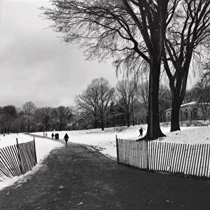People walking on a path through a snow covered park
