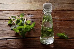 Herbs Prints: Pepperming leaves (Mentha piperita)