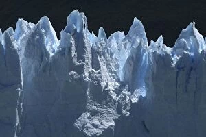 Patagonia Collection: Perito Moreno Glacier, Los Glaciares National Park, Patagonia, Argentina