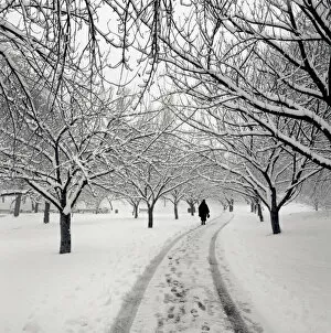 Person walking on path through snow