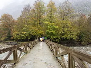 Pyrenees Prints: Persons with umbrellas that walk on a bridge of wood that crosses a river in a forest in autumn