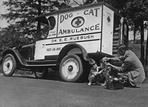 Images Dated 31st January 2011: Pet Ambulance for dogs and cats
