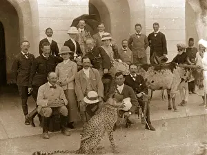 3537 Prints: Pet Cheetah