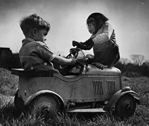 Toy Car Prints: Pet Chimp