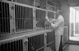 Cage Prints: Pet Quarters