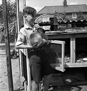 Cage Prints: Pet Rabbit