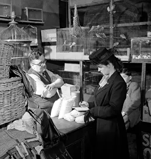 Cage Prints: Pet Shop