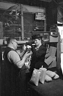 Cage Prints: Pet Shop Research