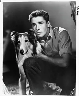Peter Lawford In Son Of Lassie