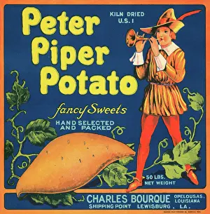 Instrument Prints: Peter Piper Potato