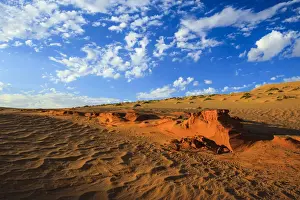 Naukluft Mountains Prints: Petrified dunes, Namib Desert, Namib Naukluft Park, Namibia, Africa