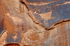 Images Dated 14th April 2013: Petroglyph in Monument Valley