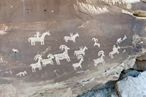Petroglyphs of the Ute Indians, animals and riders on horseback carved in a rock, Arches National Park, Utah