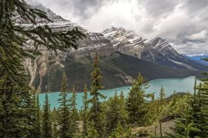 Images Dated 7th September 2015: Peyto Lake in Banff National Park