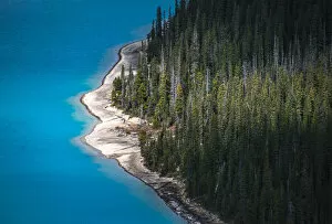 Images Dated 24th September 2016: Peyto Lake, Banff National Park, Alberta, Canada