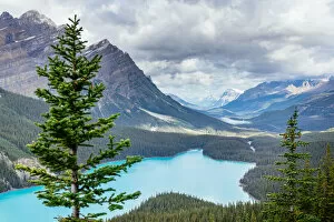 Francesco Riccardo Iacomino Travel Photography Gallery: Peyto Lake, Icefields Parkway, Banff, Alberta, Canada. blue glacial lake in the Canadian