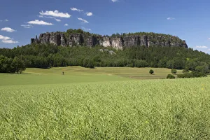 Images Dated 25th May 2012: Pfaffenstein low table mountain, Elbe Sandstone Mountains, Saxony, Germany, Europe