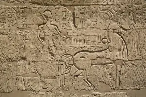 Pharaoh Tuthmose III on a chariot, Karnak Temple Complex