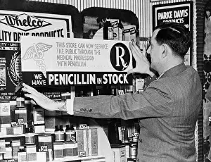 Disease Prints: Pharmacist Placing Sign in Store