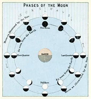Images Dated 18th June 2014: Phases of the Moon