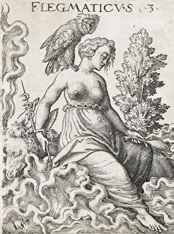 Differing Prints: Phlegmatic temperament, the four different temperaments
