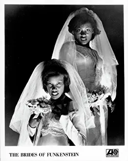 Photo of Brides of Funkenstein