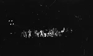 Photo of Cameo