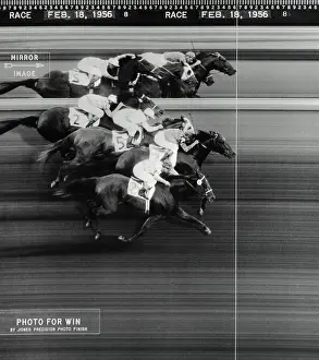 Photo Finish of a Horse Race