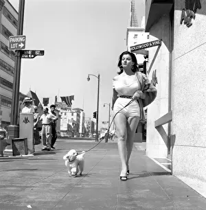 Photo of Joan Bradshaw