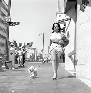 Photo of Joan Bradshaw