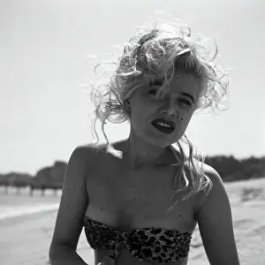 Photo of Joan Vohs