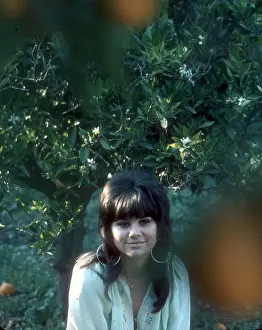 Photo of Linda Ronstadt