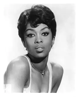Photo of Lola Falana