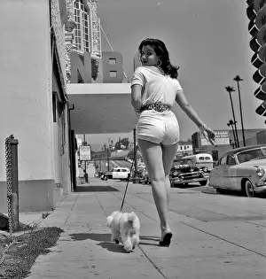 Photo of Los Angeles