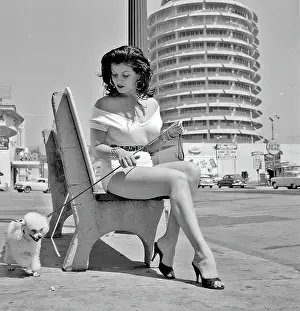 Photo of Los Angeles