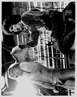 Photo of Rocky Horror Picture Show