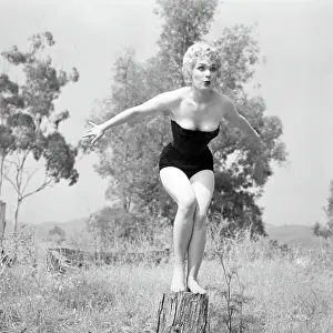 Photo of Roxanne Arlen
