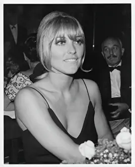 Photo of Sharon Tate