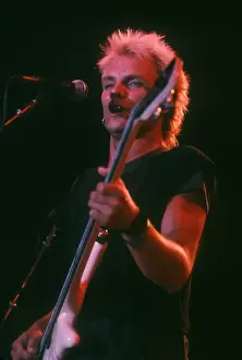 Fine Art Print of Sting CIRCA 1980. Art Prints, Posters & Puzzles