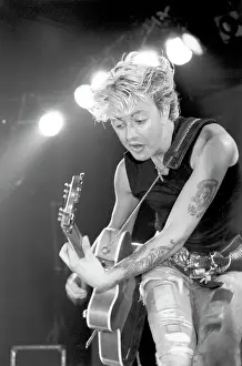 Photo of Stray Cats