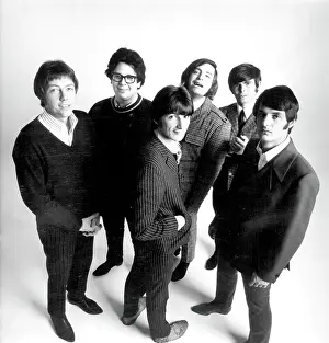 Photo of Turtles